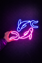 Fish Spa Neon LED Tabela – Doktor Balık Spa Duvar Dekoru