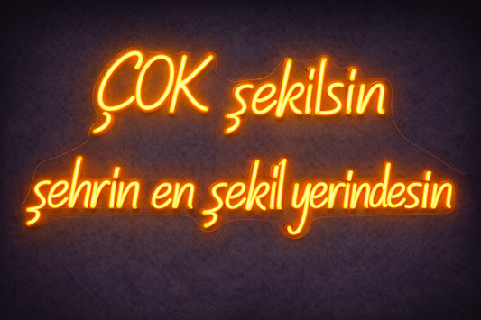 Çok Şekilsin Şehrin En Şekil Yerindesin” Neon LED Tabela – Güzellik Salonu Dekoru